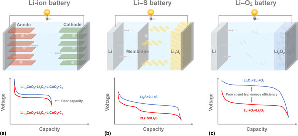 metal ion battery