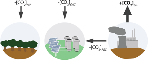 Comparison Of Carbon Sequestration Efficacy Between Artificial ...