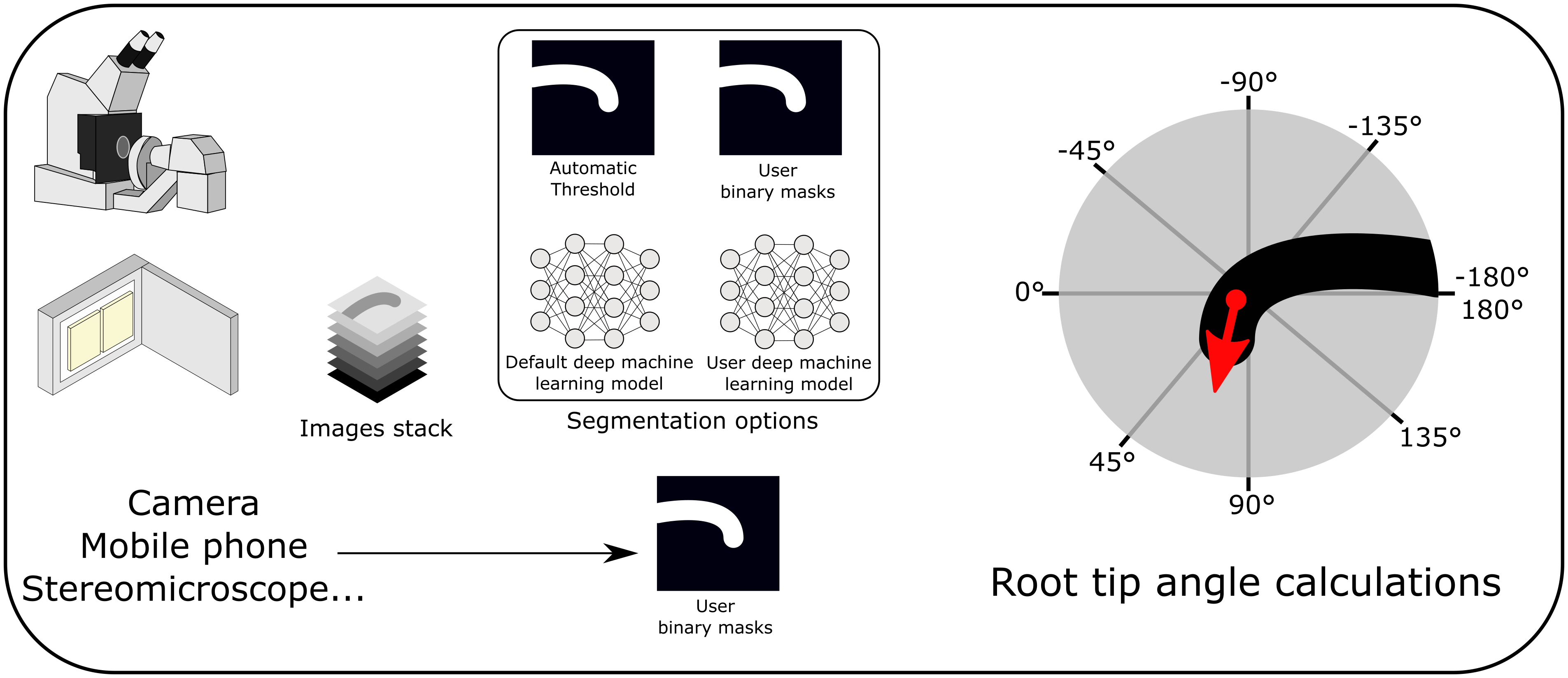 ACORBA: Automated workflow to measure Arabidopsis thaliana root