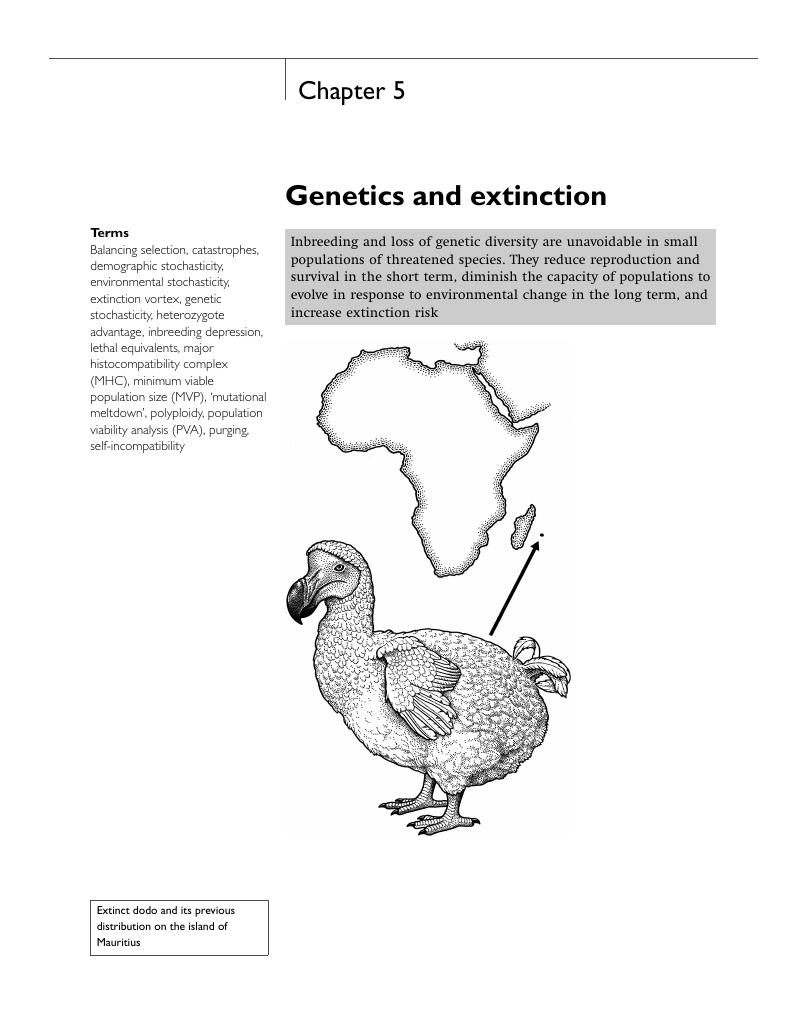 Genetics And Extinction (Chapter 5) - A Primer Of Conservation Genetics