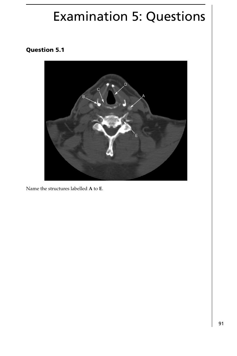 Examination Questions Frcr Part Anatomy Mock Examinations