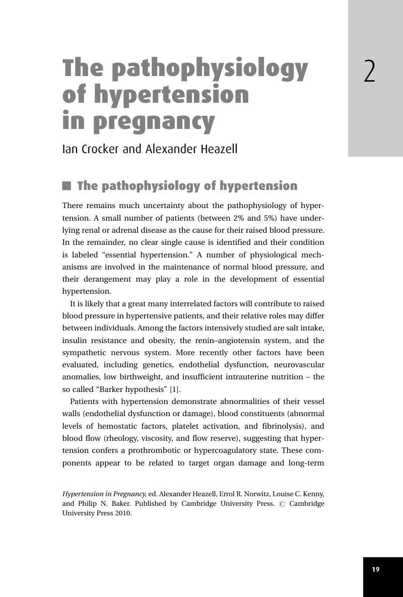 literature review on pregnancy induced hypertension