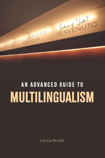 An Advanced Guide to Multilingualism