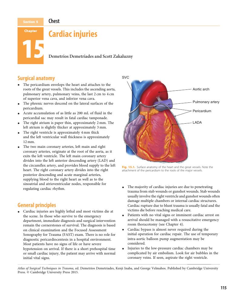 Cardiac Injuries (Chapter 15) - Atlas Of Surgical Techniques In Trauma