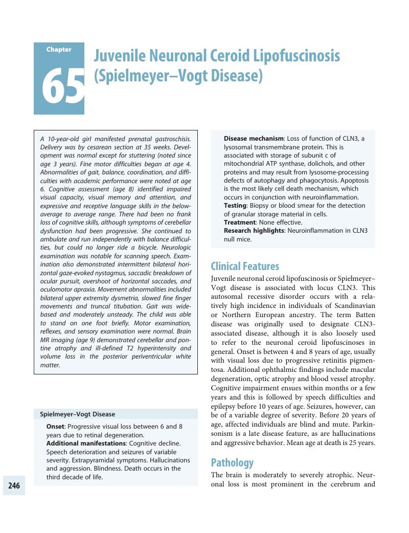 Juvenile Neuronal Ceroid Lipofuscinosis Spielmeyer Vogt Disease