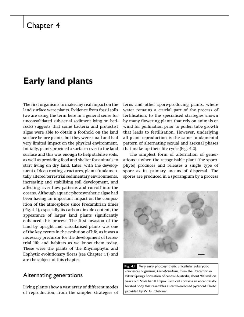 an-analysis-of-the-human-rights-implications-of-the-proposed-land