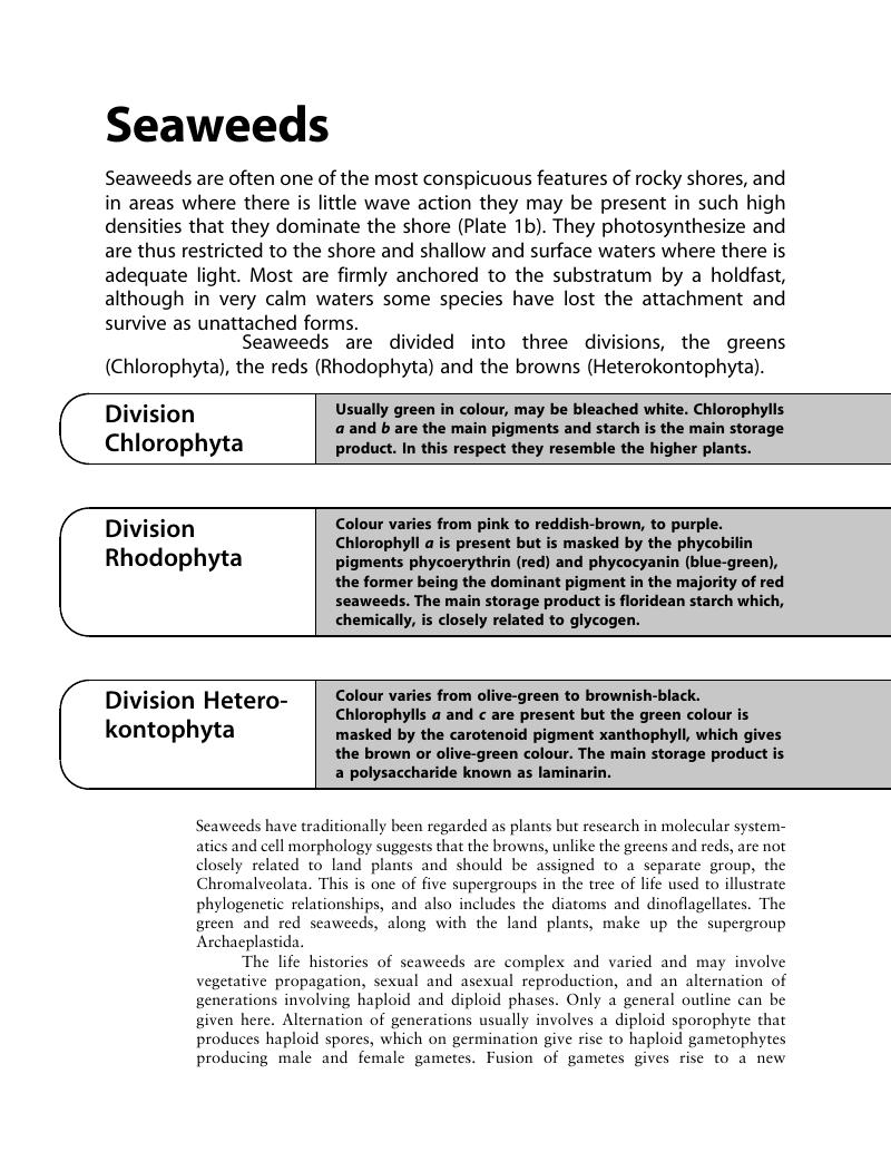 Seaweeds A Student s Guide to the Seashore