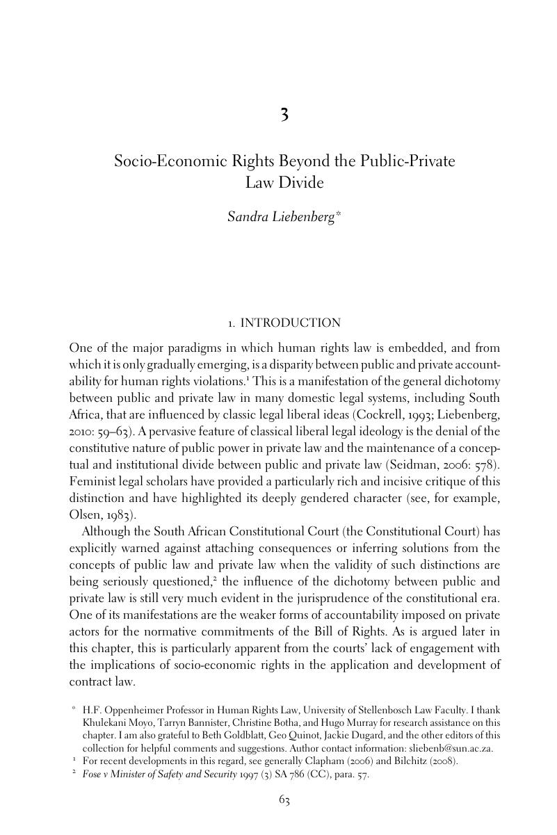 socio economic rights thesis