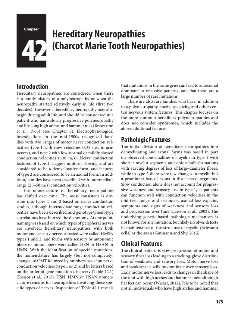 Hereditary Neuropathies (Charcot Marie Tooth Neuropathies) (Chapter 42 ...