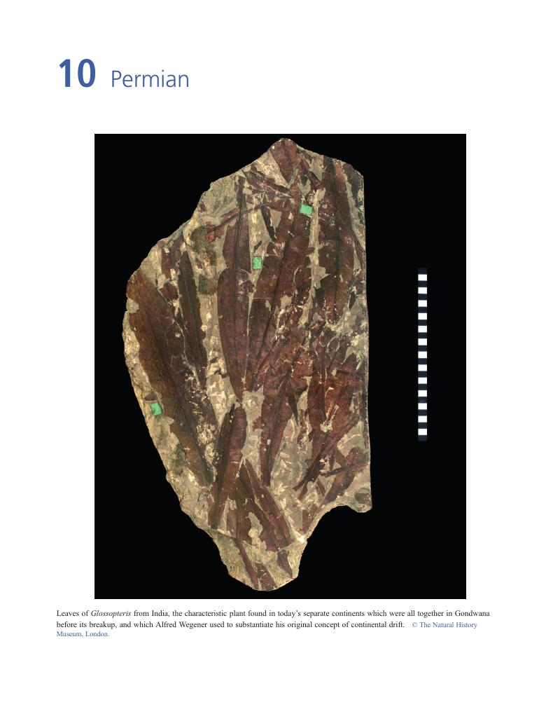 Permian (Chapter 10) - Earth History And Palaeogeography