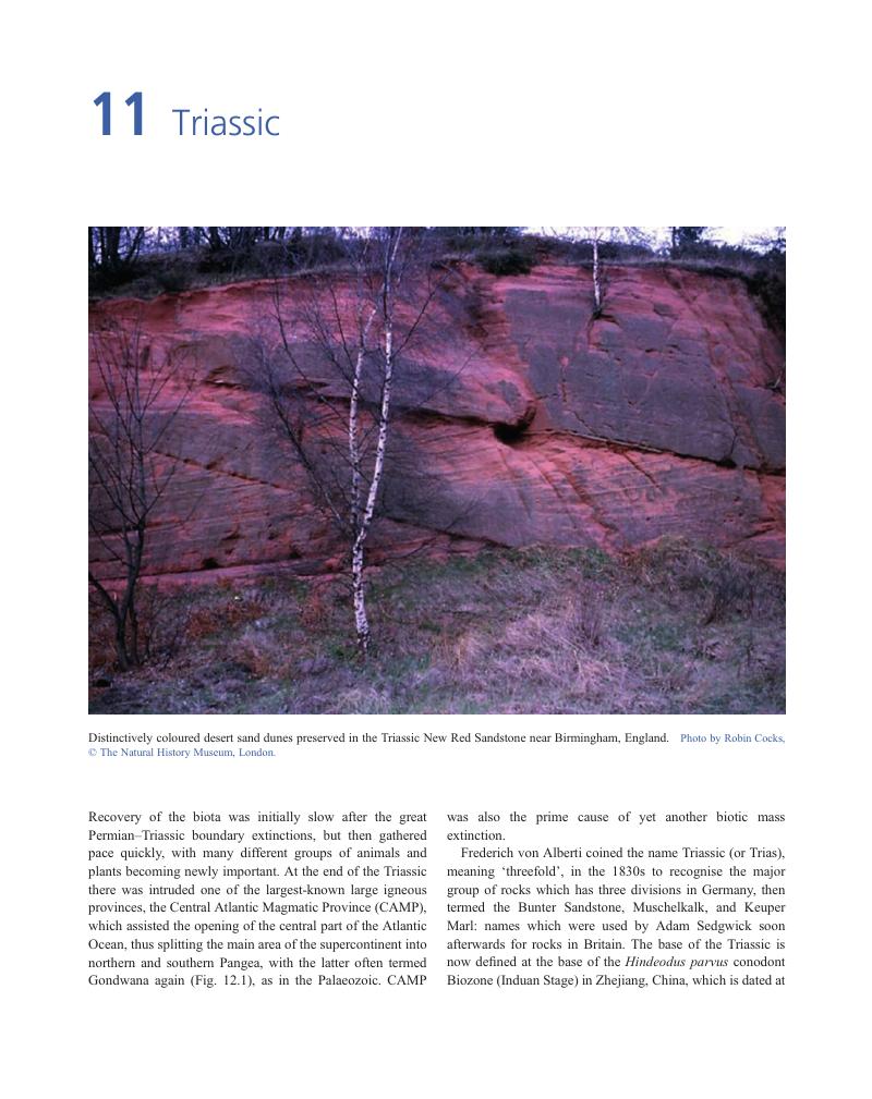 Triassic (Chapter 11) - Earth History And Palaeogeography