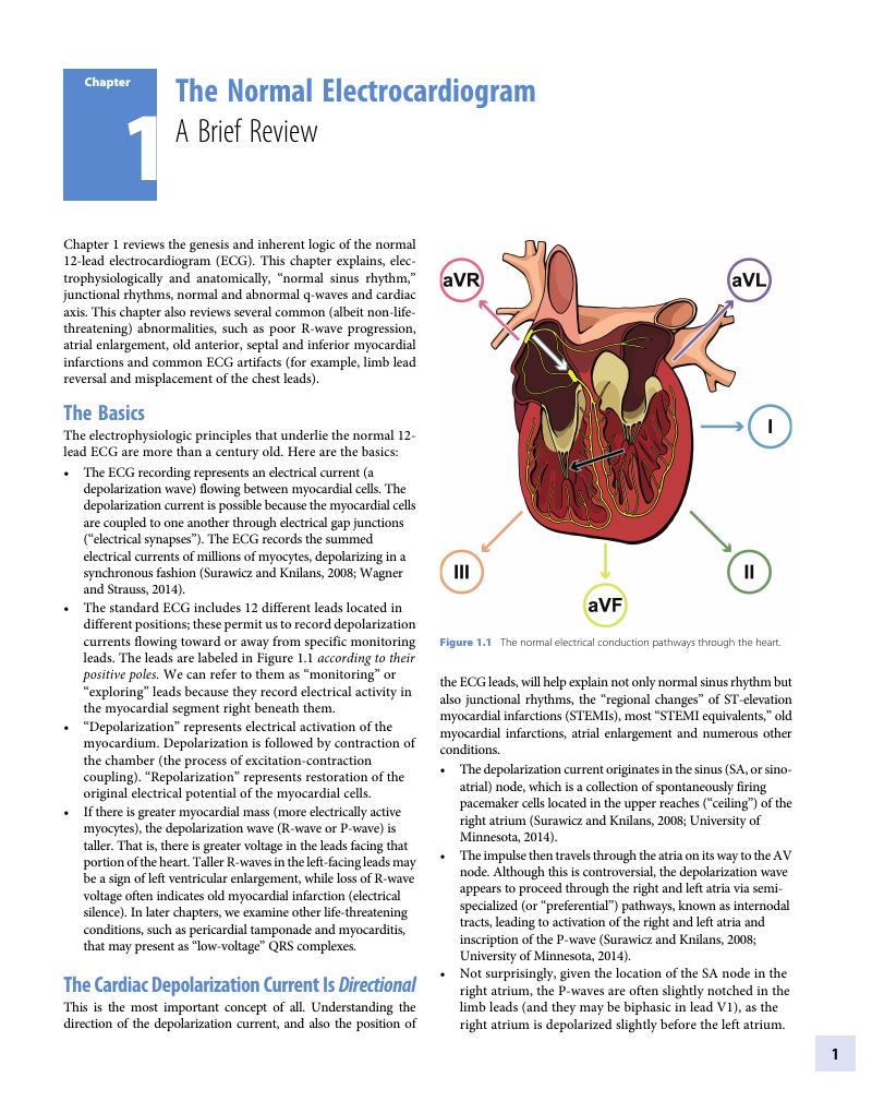 The Normal Electrocardiogram (chapter 1) - Critical Cases In 