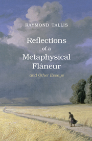 Reflections of a Metaphysical Flâneur
