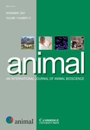 animal Volume 1 - Issue 10 -