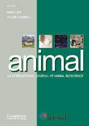 animal Volume 1 - Issue 2 -