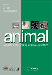 animal Volume 1 - Issue 6 -