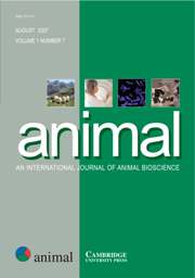 animal Volume 1 - Issue 7 -