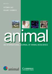 animal Volume 1 - Issue 9 -