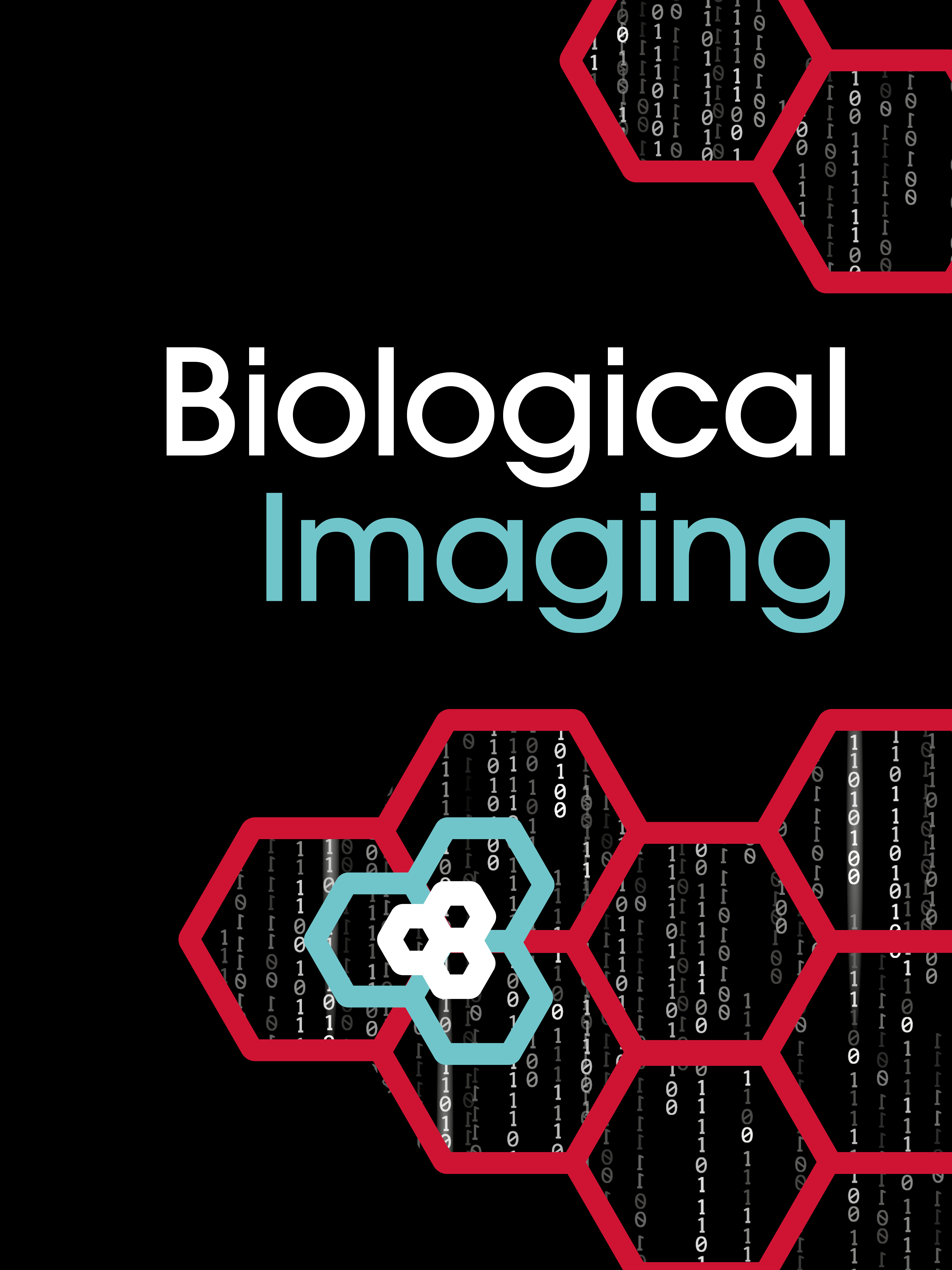 Deep Learning for automatic signal enhancement in biological imaging