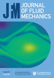 Journal of Fluid Mechanics Volume 991 - Issue  -