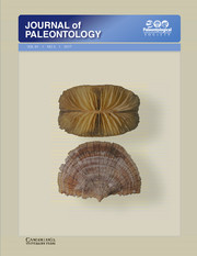 Journal of Paleontology Volume 91 - Issue 3 -