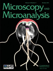 Microscopy and Microanalysis Volume 19 - Issue 5 -