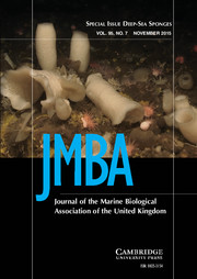 Journal of the Marine Biological Association of the United Kingdom Volume 95 - Issue 7 -  Deep-Sea Sponges