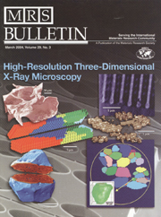 MRS Bulletin Volume 29 - Issue 3 -  High-Resolution Three-Dimensional X-Ray Microscopy