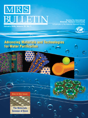 MRS Bulletin Volume 33 - Issue 1 -  Advancing Materials and Technologies for Water Purification