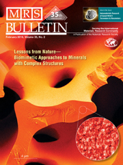 MRS Bulletin Volume 35 - Issue 2 -  Lessons from Nature—Biomimetic Approaches to Minerals with Complex Structures