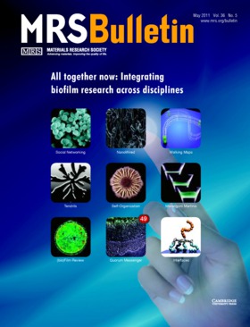 MRS Bulletin Volume 36 - Issue 5 -  All together now: Integrating biofilm research across disciplines