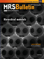 MRS Bulletin Volume 41 - Issue 9 -  Hierarchical Materials