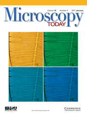 Microscopy Today Volume 19 - Issue 1 -