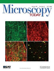 Microscopy Today Volume 19 - Issue 4 -