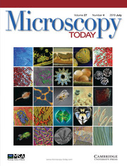 Microscopy Today Volume 27 - Issue 4 -