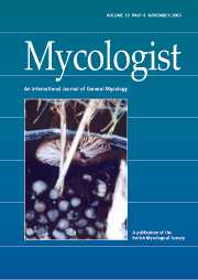 Mycologist Volume 19 - Issue 4 -