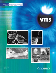 Visual Neuroscience Volume 28 - Issue 4 -
