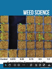 Weed Science Volume 71 - Issue 6 -