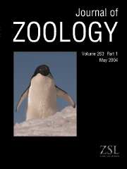 Journal of Zoology Volume 263 - Issue 1 -