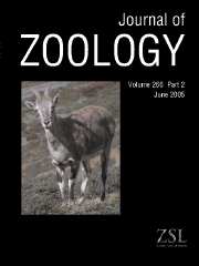 Journal of Zoology Volume 266 - Issue 2 -