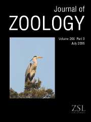 Journal of Zoology Volume 266 - Issue 3 -