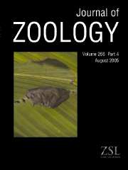 Journal of Zoology Volume 266 - Issue 4 -