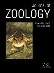Journal of Zoology Volume 267 - Issue 3 -