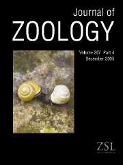 Journal of Zoology Volume 267 - Issue 4 -