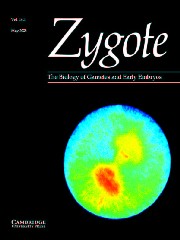 Zygote Volume 13 - Issue 2 -