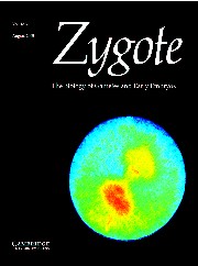 Zygote Volume 13 - Issue 3 -