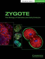 Zygote Volume 22 - Issue 4 -